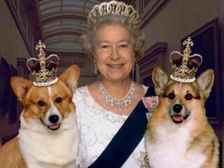 Gravitas: Little-known things about Queen Elizabeth II