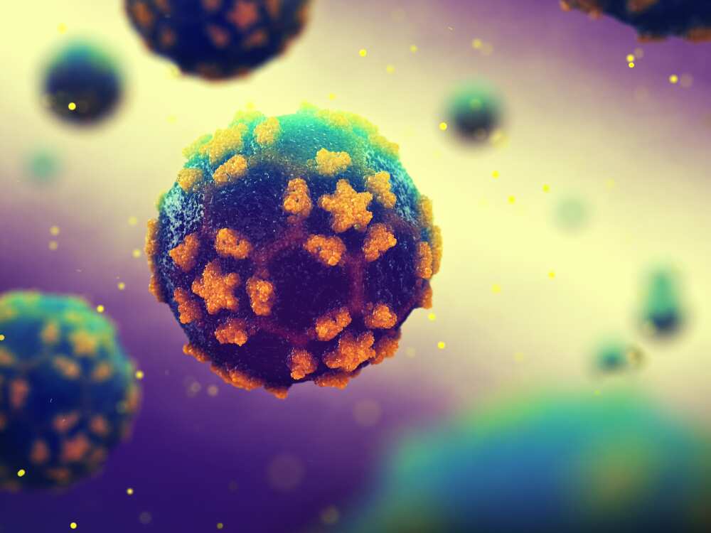 New York declares state of emergency over Polio to boost vaccination rates