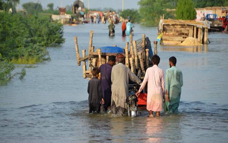WION Climate Tracker: UN Chief Guterres urges support for flood-hit Pakistan