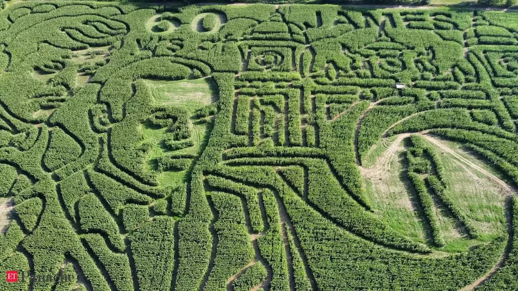 Chicago: 'Largest corn maze in the world' marks 60 years of Bond