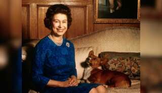 Will Queen Elizabeth's Corgis be at her funeral? Well, royal watchers want them to be
