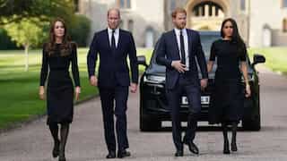 Netizens slam Prince William while praising Prince Harry for treatment of wives during reunion