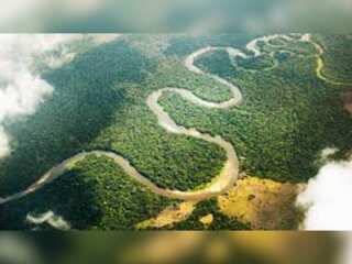 Congo Basin: Deforestation threatens world's second largest tropical forest