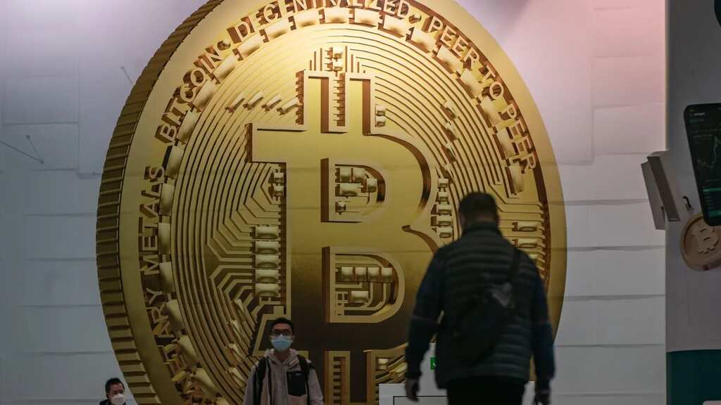 WION Fineprint | Decoding the crypto scam that is costing investors millions