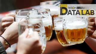 Data Lab| Fed up with mundane beer options? A brewing revolution is underway in the US