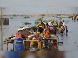 WION Climate Tracker | Reports: Govts & businesses failing to cut down on their emissions