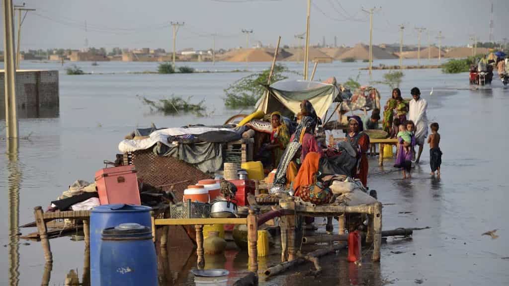 WION Climate Tracker | Reports: Govts & businesses failing to cut down on their emissions