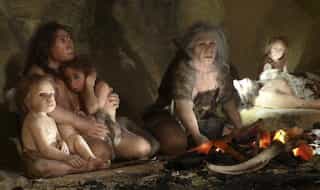 Neanderthals too were foodies, cooked pancakes and flatbreads, used pulses, wild mustard