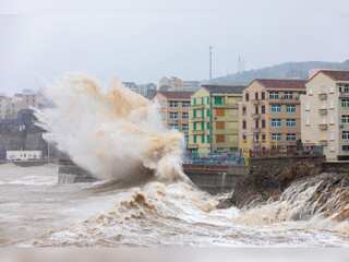 WION Climate Tracker: Typhoon Muifa makes landfall as millions in China brace for heavy rain & flood