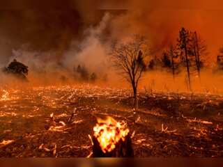 France battles blaze in the southwest, about 1800 hectares of forest ravaged