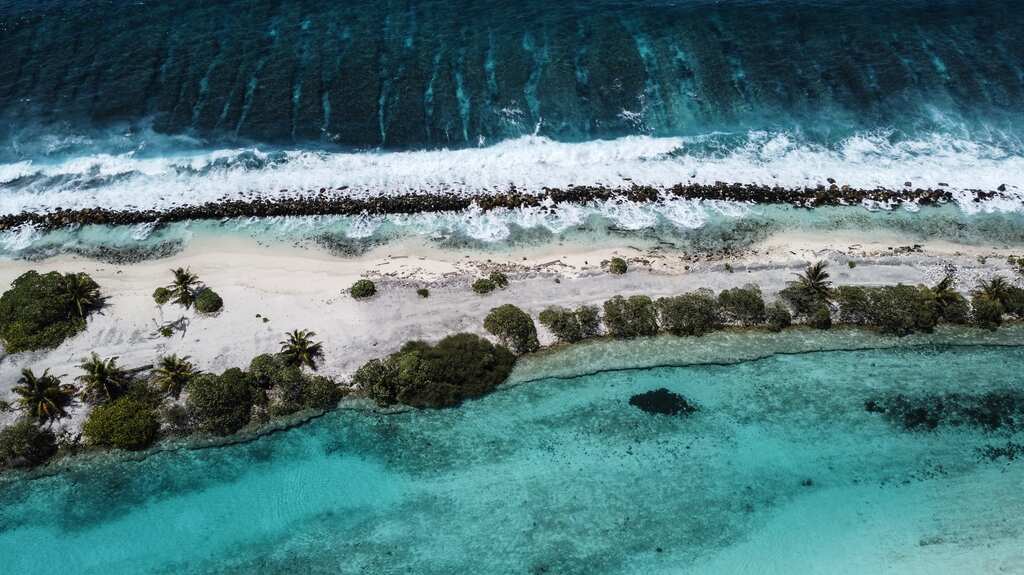 WION Climate Tracker | Maldives faces repercussions of climate change