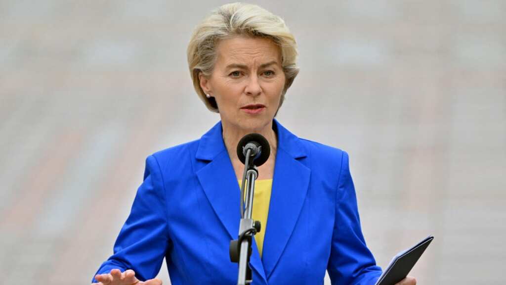 EU boss Ursula von der Leyen in running to be new NATO chief: Reports