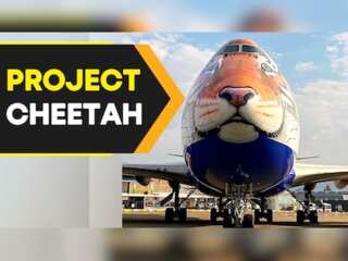 What is Project Cheetah and how is it significant to India?