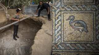 Palestinian farmer unearths a Byzantine-era mosaic in Gaza  while planting olive tree