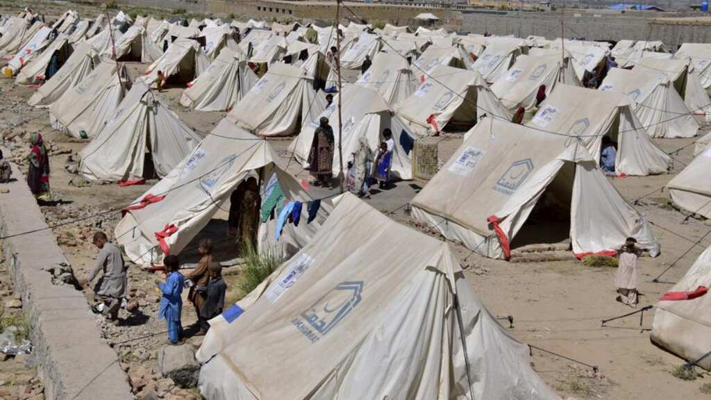 WHO raises alarm about 'second disaster' in wake of deadly floods in Pakistan