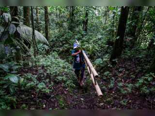 WION Fineprint: Indonesia conservationist salvages indigenous flowers