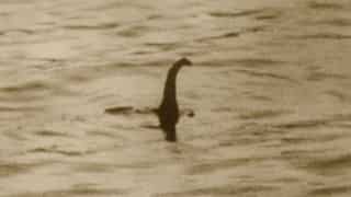 Loch Ness monster 'captured' on a newly installed live stream. Watch it here!