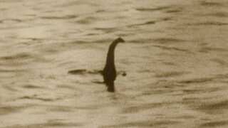 Loch Ness monster 'captured' on a newly installed live stream. Watch it here!