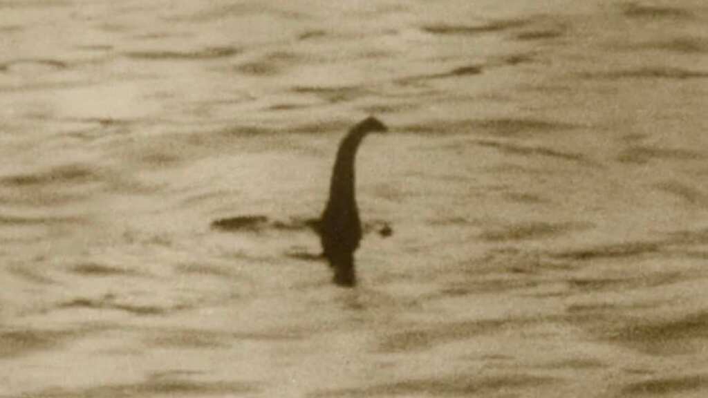 Loch Ness monster 'captured' on a newly installed live stream. Watch it here!