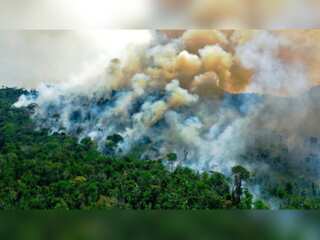 WION Climate Tracker: A devastating burning season for Amazon forest