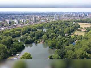 WION Climate Tracker | Climate change threatens survival of Urban trees