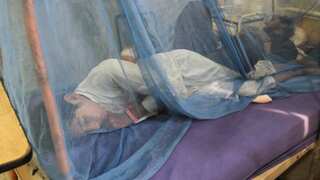 After declining aid, Pakistan considers importing mosquito nets from India amid malaria outbreak