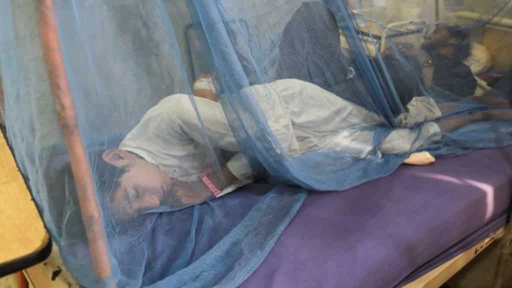 After declining aid, Pakistan considers importing mosquito nets from India amid malaria outbreak