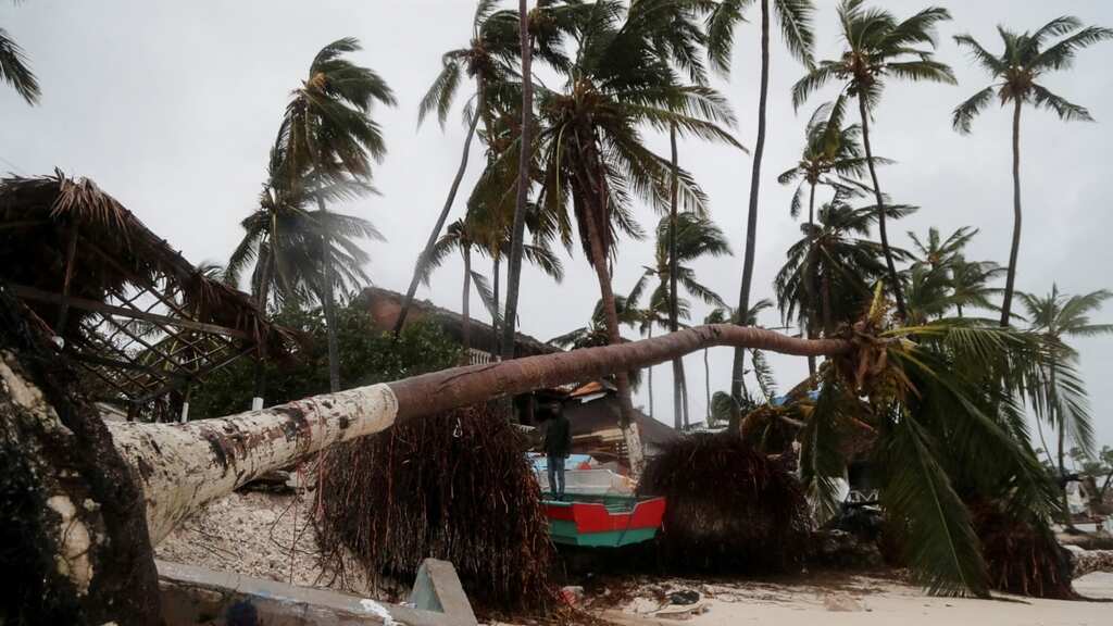 WION Climate Tracker: Hurricane Fiona hits Turks & Caicos islands; death toll rises to 5