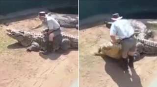 Watch: 16-foot crocodile attacks zookeeper during live show