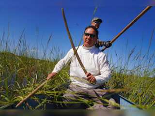 WION Climate Tracker | Sacred wild rice in Minnesota under threat