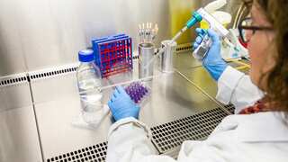 Study shows herpes treatment eradicates tumours in terminally-ill cancer patients