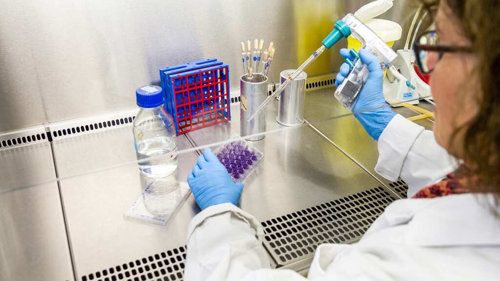 Study shows herpes treatment eradicates tumours in terminally-ill cancer patients