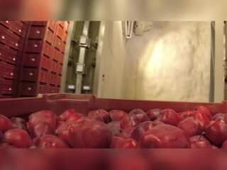 WION Climate Tracker | 34 caves in North Italy being used to store apple harvest