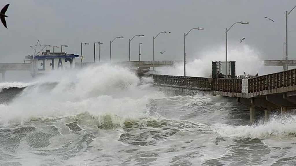 WION Climate Tracker | Study: Global sea levels set to rise higher than predicted