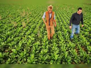 Europe: Vegetable farmers halt production in Northern and Western parts