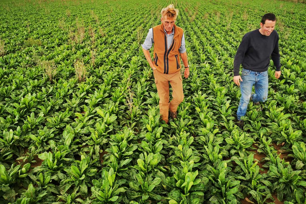 Europe: Vegetable farmers halt production in Northern and Western parts