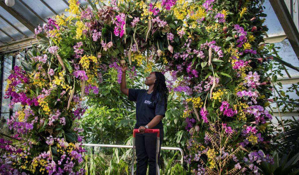 Colombia reopens orchid exhibition after pandemic break