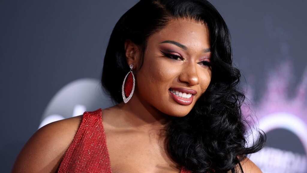 Megan Thee Stallion launches website to provide mental health resources to fans