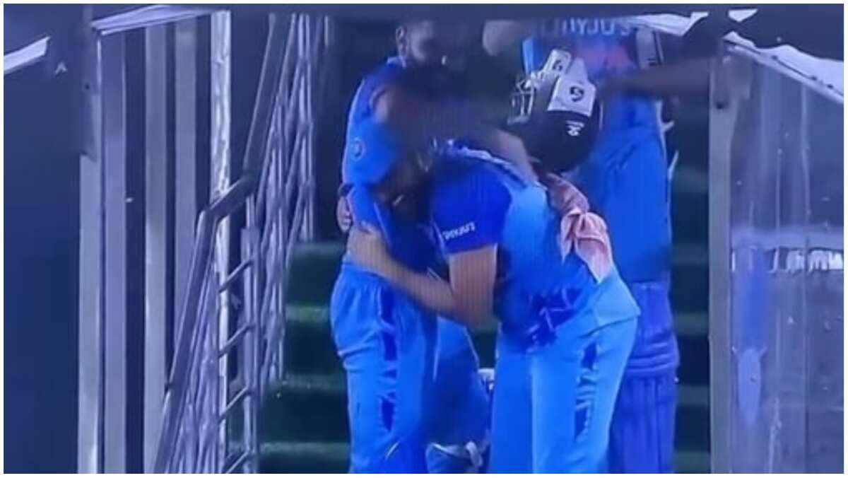 Watch: Rohit Sharma, Virat Kohli go bonkers, celebrate wildly after India win T20I series vs Australia Watch: Rohit Sharma, Virat Kohli go bonkers, celebrate wildly after India win T20I series vs Australia