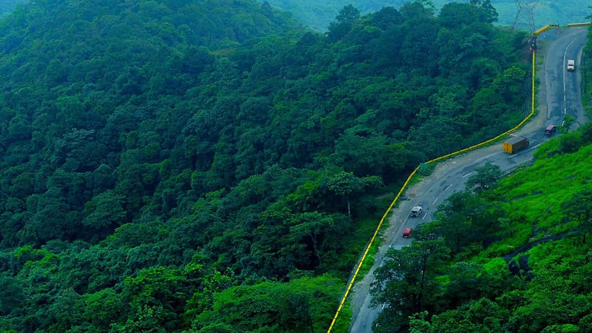 Wayanad, Kerala