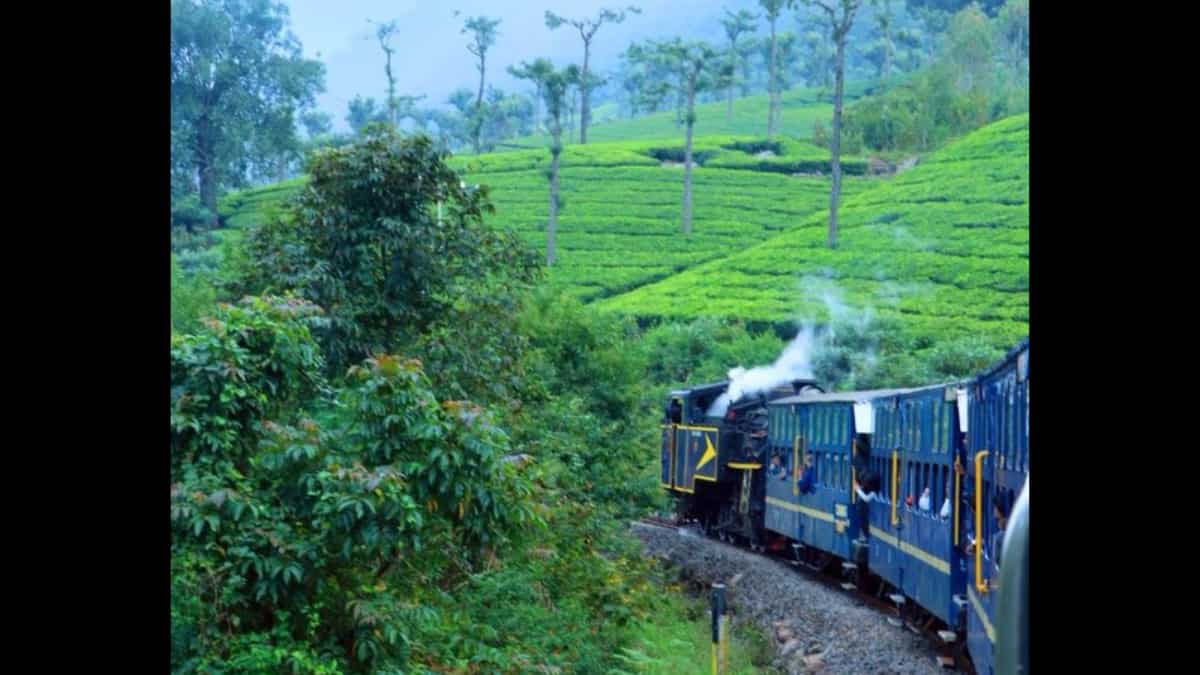 Ooty, Tamil Nadu