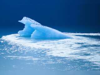 WION Climate Tracker: Germany loses 1 of its 5 glaciers to scalding summer