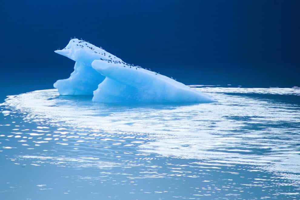 WION Climate Tracker: Germany loses 1 of its 5 glaciers to scalding summer