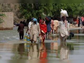 WION Climate Tracker: Farmers in Pakistan struggle to make ends meet amid flooding