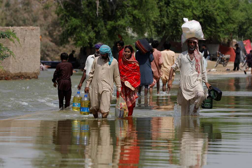 WION Climate Tracker: Farmers in Pakistan struggle to make ends meet amid flooding