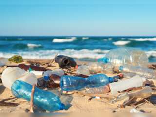 WION Climate Tracker: Maldivian youth to lead cleaning campaign as plastic is polluting beaches