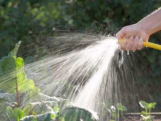 WION Climate Tracker: UK tries to save water amid drought; hosepipe ban extended in UK
