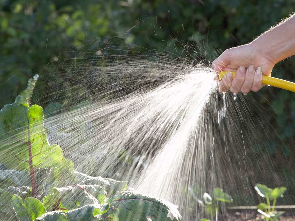 WION Climate Tracker: UK tries to save water amid drought; hosepipe ban extended in UK