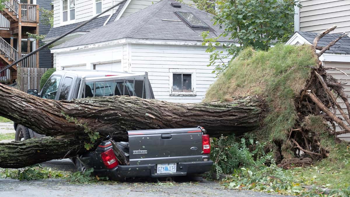 Category 3
