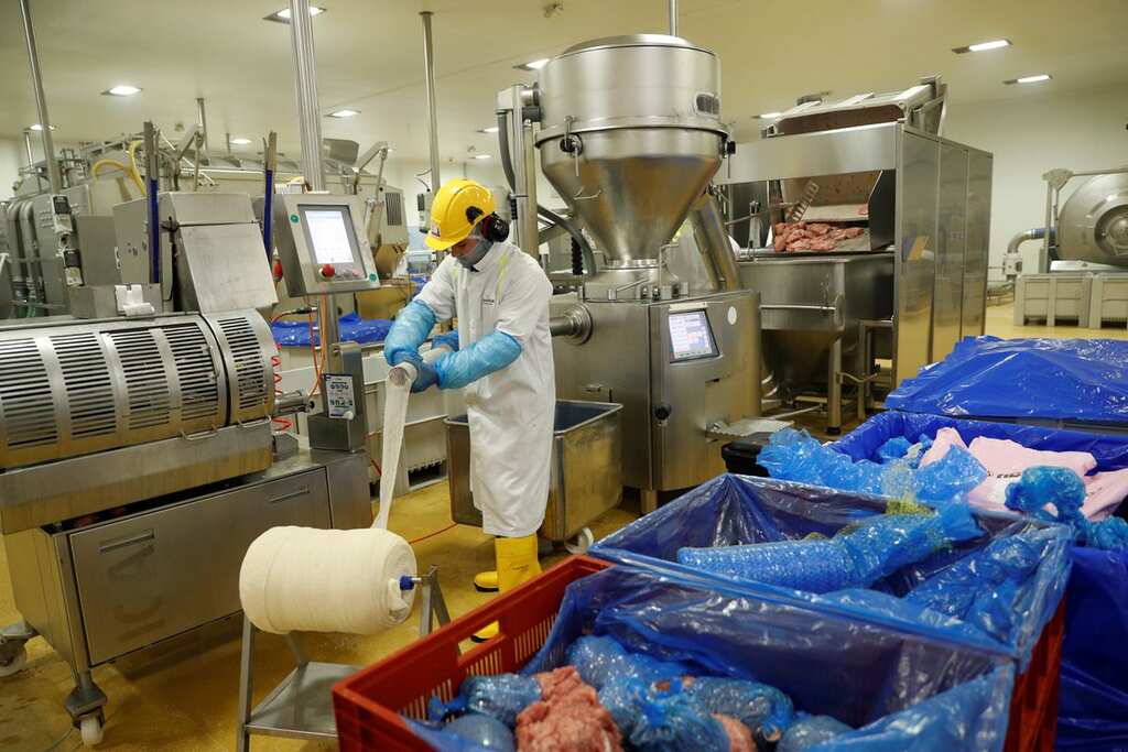 Dozens fall unconscious after ammonia leak at meat factory in India, probe on